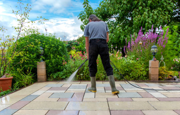 Best Sidewalk and Walkway Cleaning  in Ottawa, OH