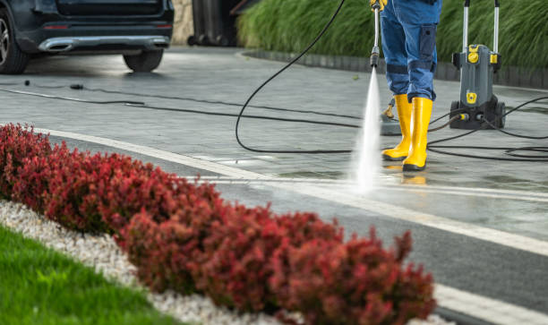 Best Driveway Pressure Washing  in Ottawa, OH